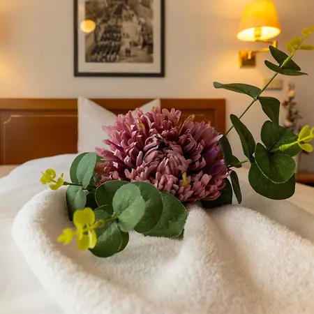 Hotel Alekto