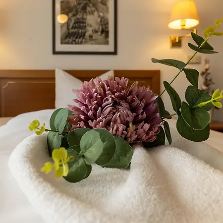 Alekto 4* 프레이베르그